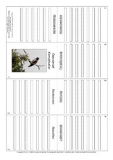 Faltbuch-Kampfadler.pdf